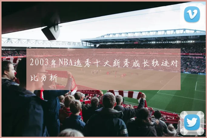 2003年NBA选秀十大新秀成长轨迹对比分析